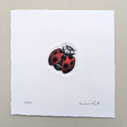 The Loveliness - Original Hand-Finished Mezzotint and Debossing