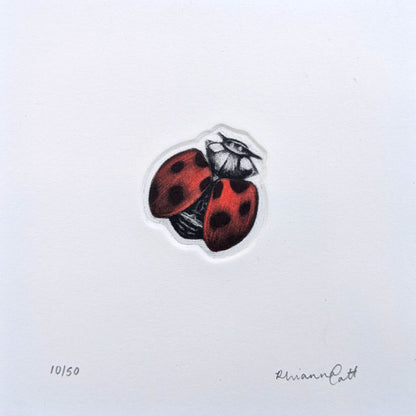 The Loveliness - Original Hand-Finished Mezzotint and Debossing