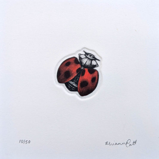 The Loveliness - Original Hand-Finished Mezzotint and Debossing