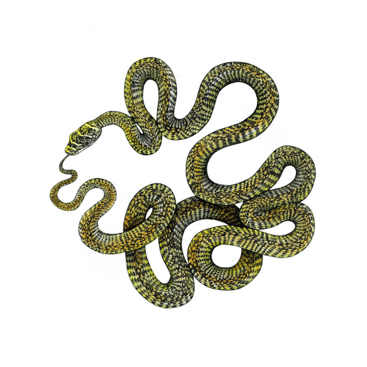 The Taste of What Was - Original Etching and Embossing