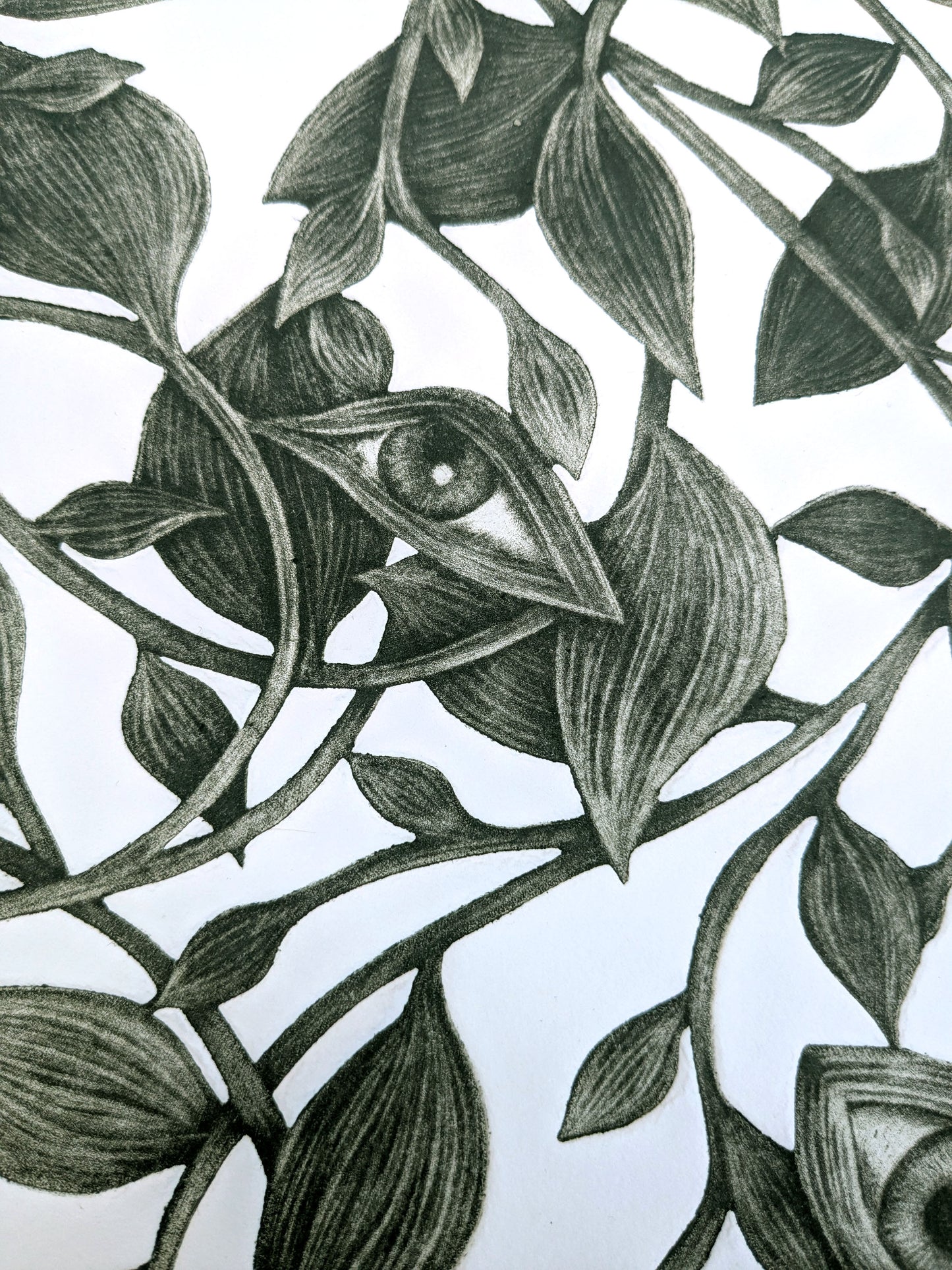 What the Leaves Remember - Limited Edition Mezzotint and Embossing
