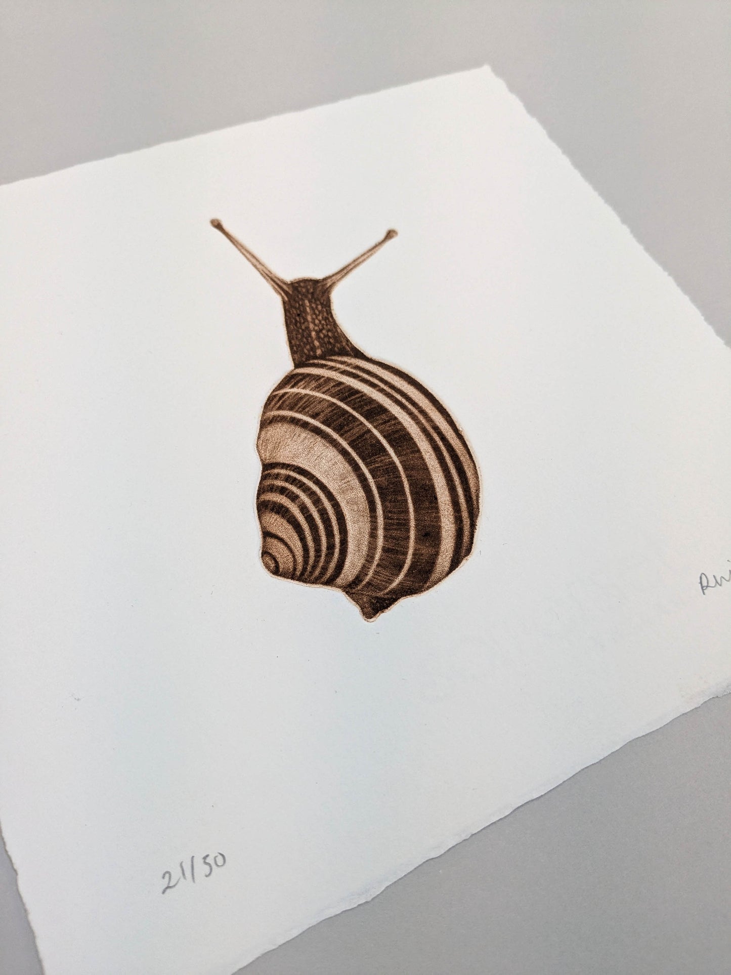 Wait and See - Limited Edition Mezzotint and Debossing