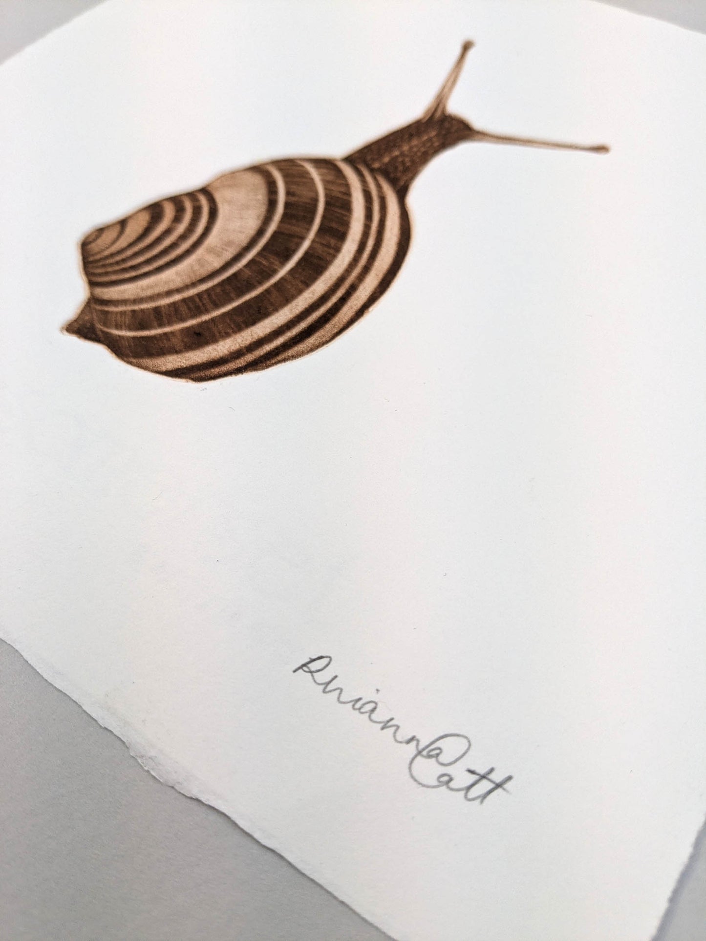 Wait and See - Limited Edition Mezzotint and Debossing