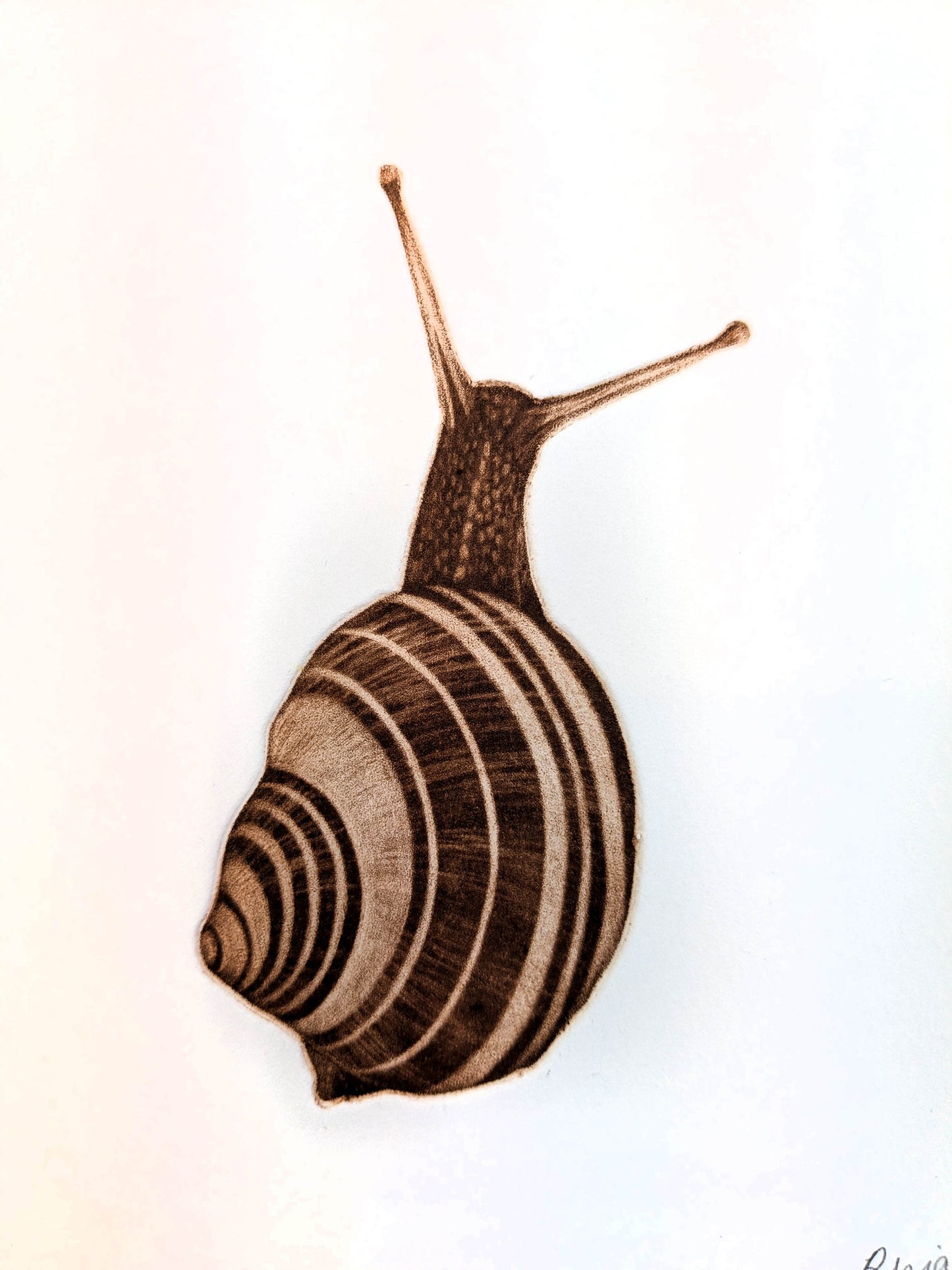 Wait and See - Limited Edition Mezzotint and Debossing