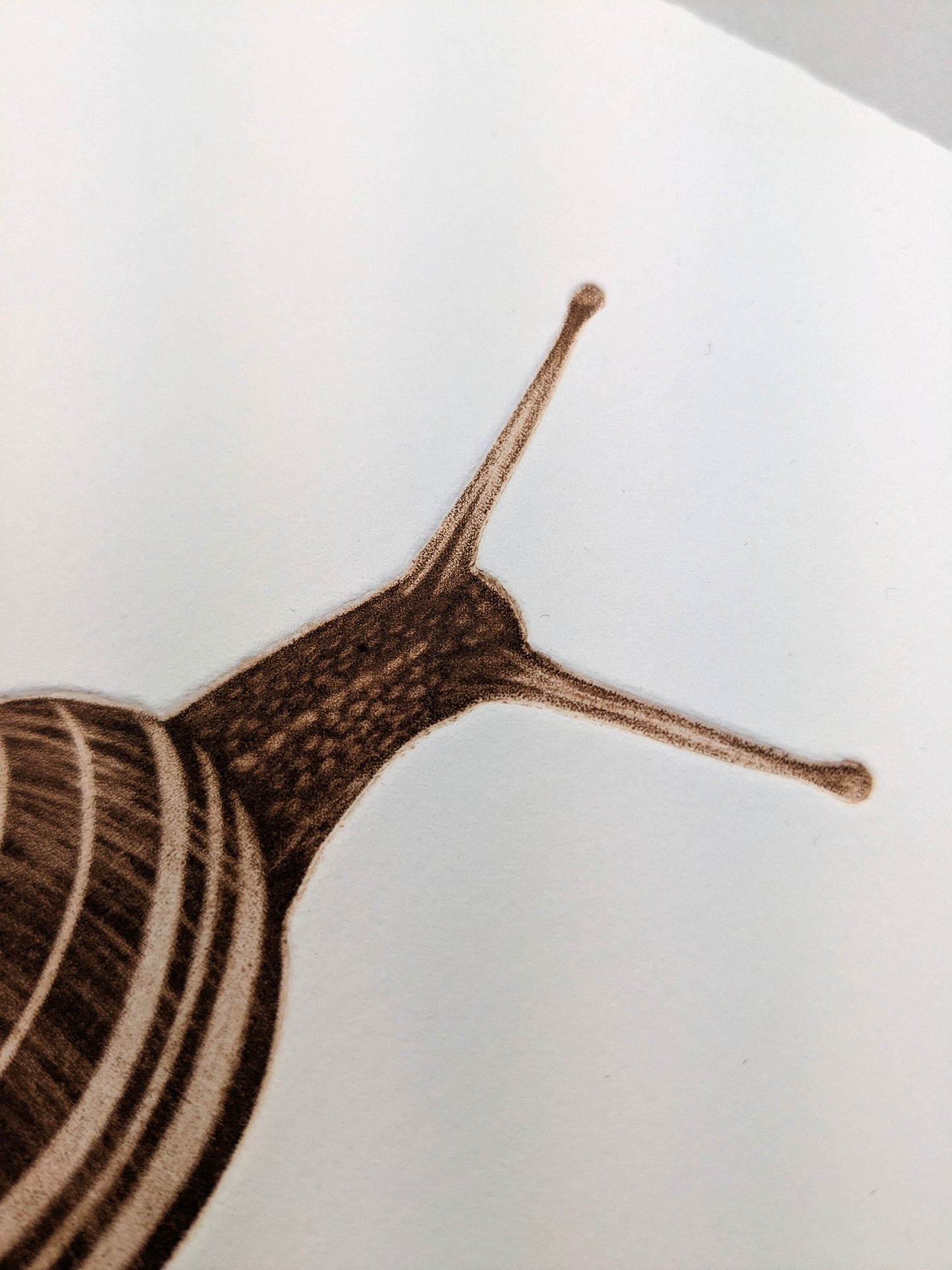 Wait and See - Limited Edition Mezzotint and Debossing