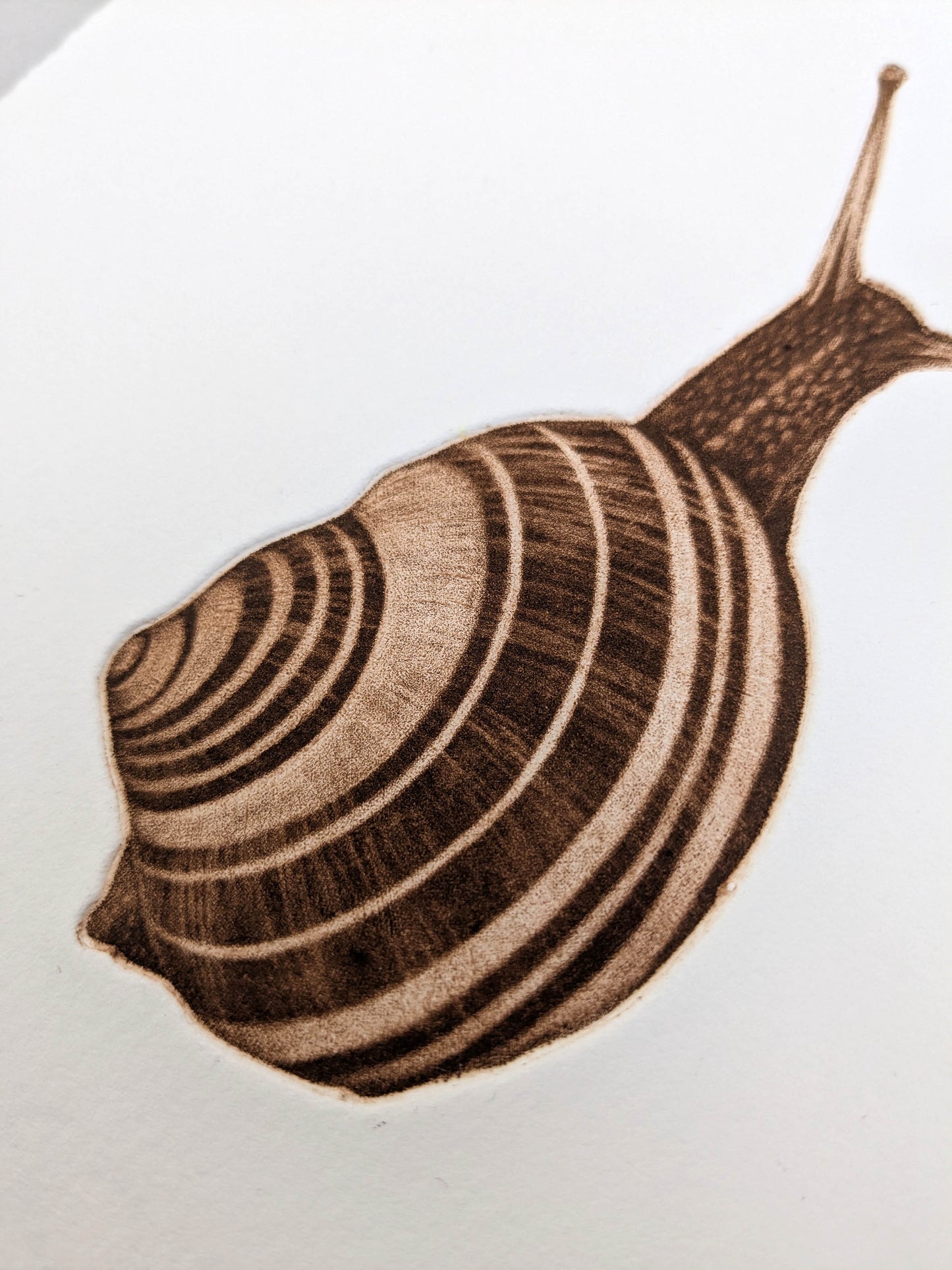 Wait and See - Limited Edition Mezzotint and Debossing