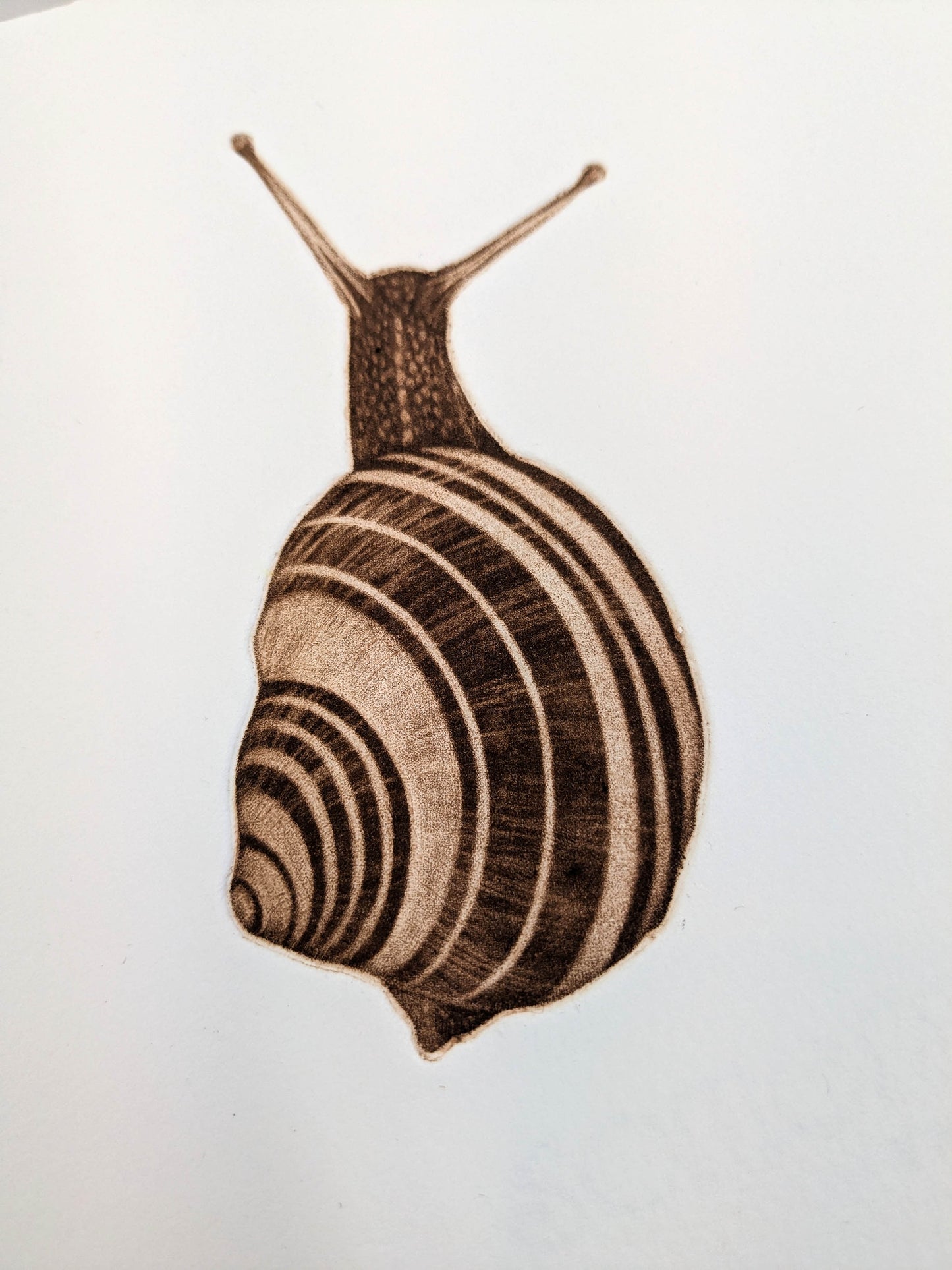 Wait and See - Limited Edition Mezzotint and Debossing