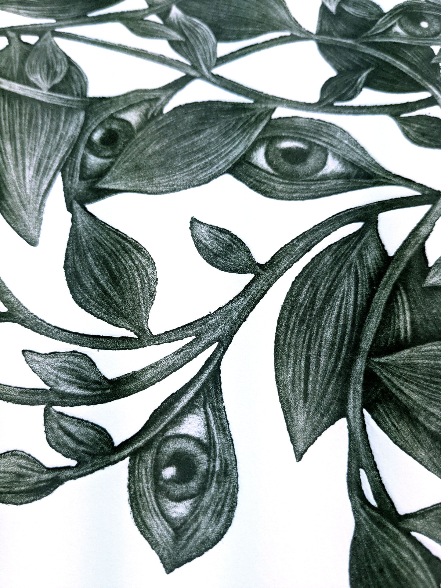 What the Leaves Remember - Limited Edition Mezzotint and Embossing