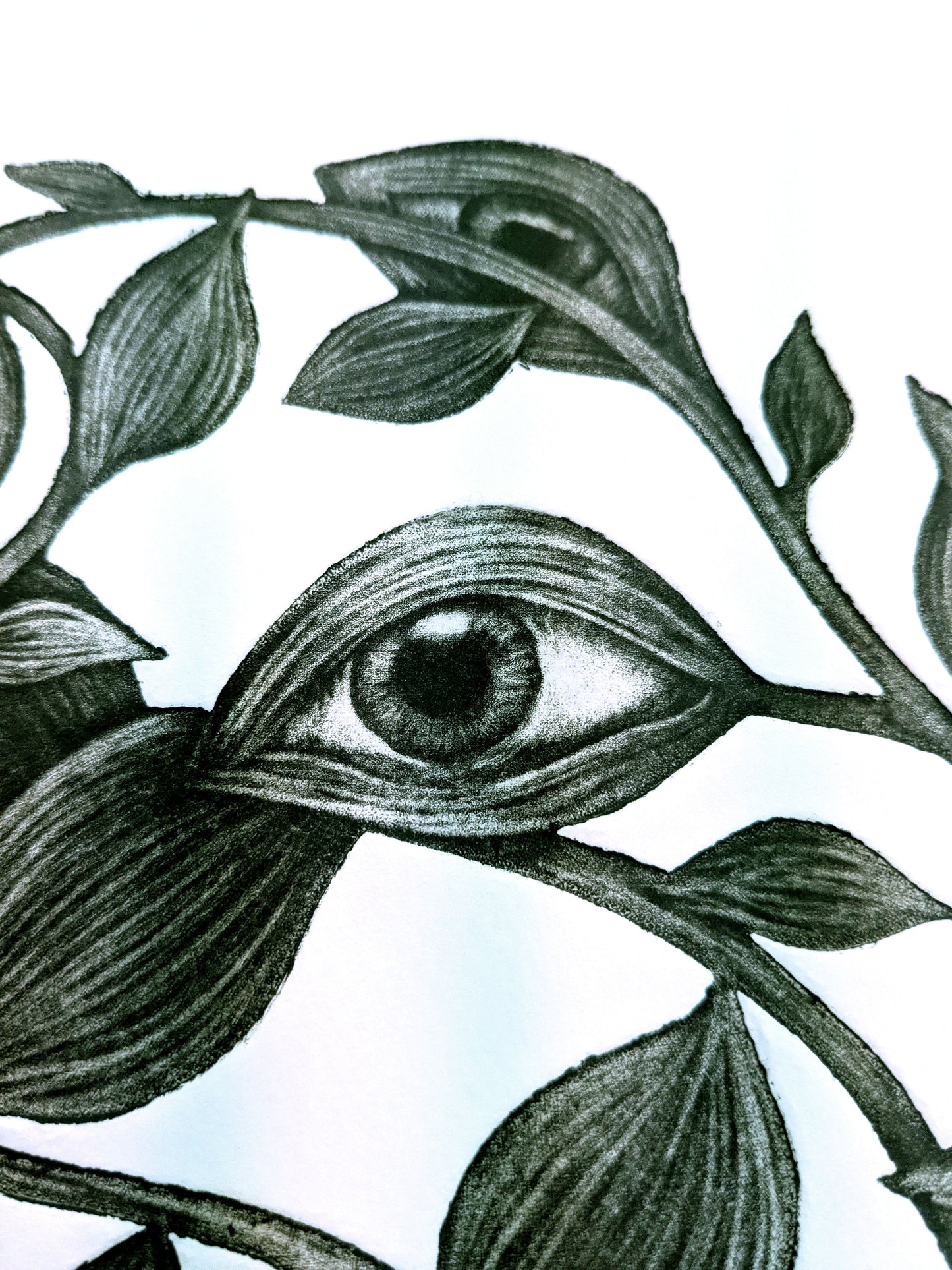 What the Leaves Remember - Limited Edition Mezzotint and Embossing