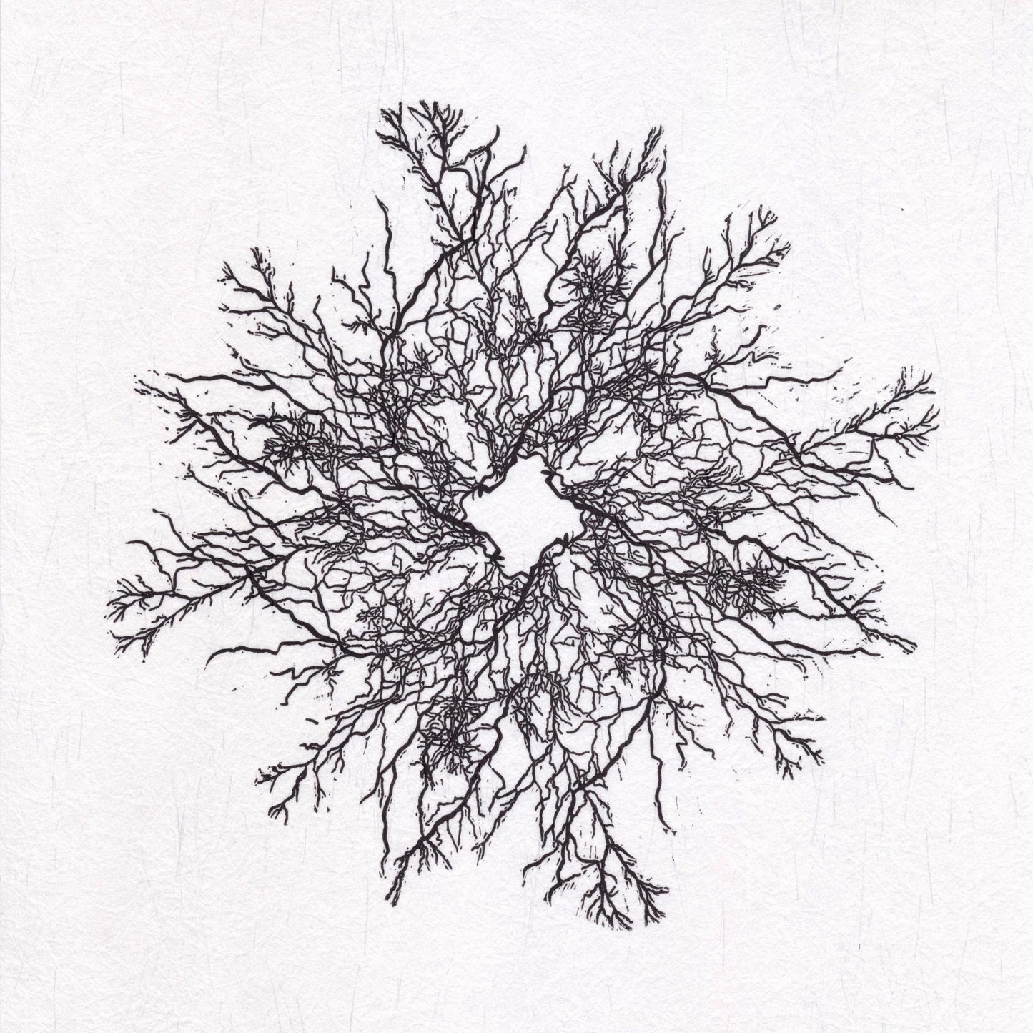 Currents - Nature of Nerves - Limited Edition Linocut