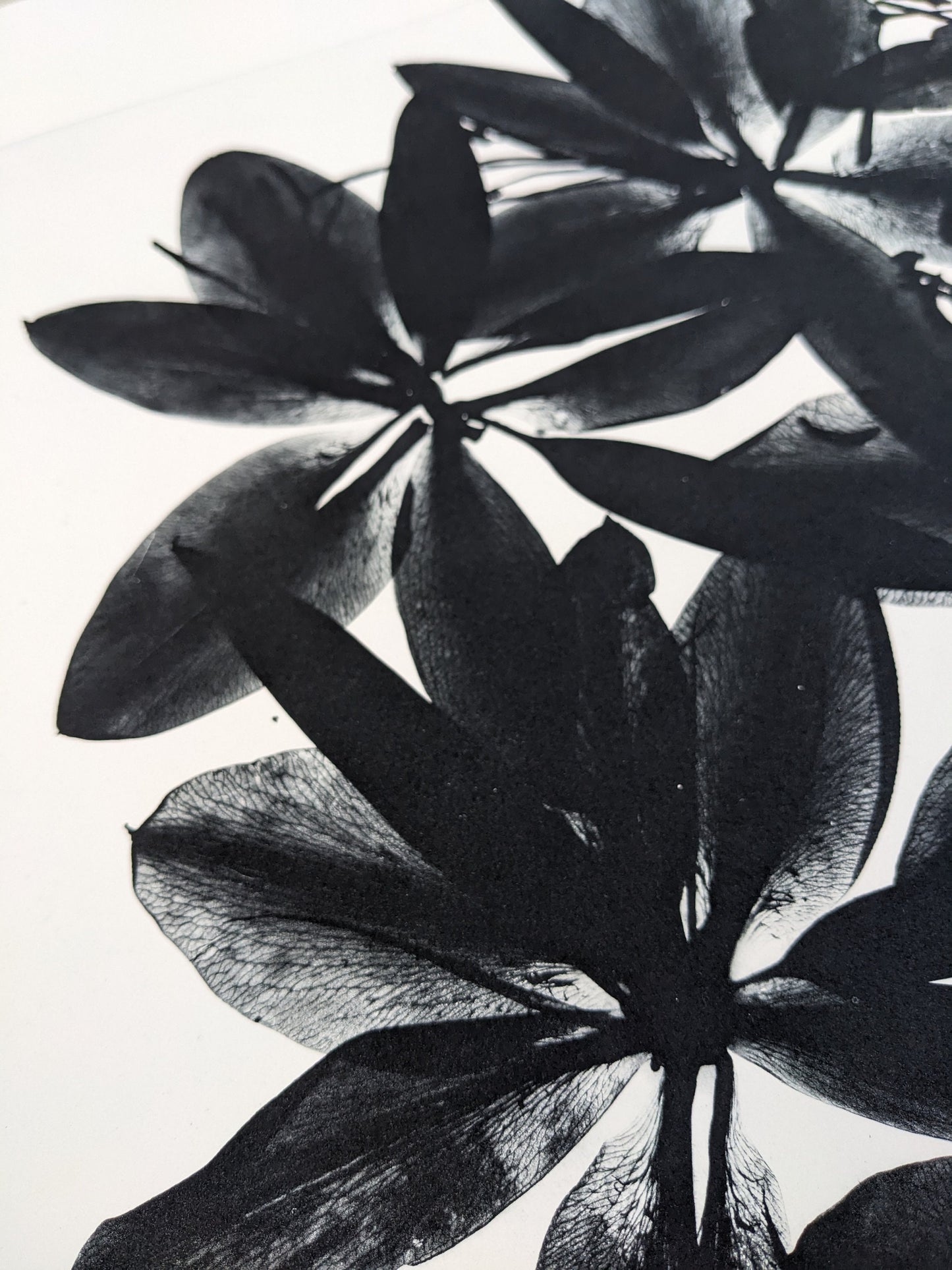 Refraction - Limited Edition Photopolymer Etching