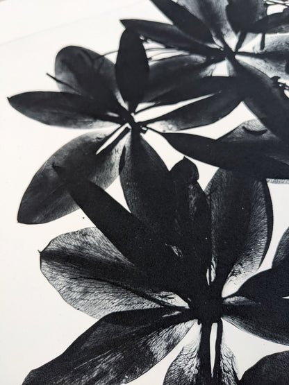 Refraction - Limited Edition Photopolymer Etching