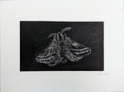 Shadow - Limited Edition Etching