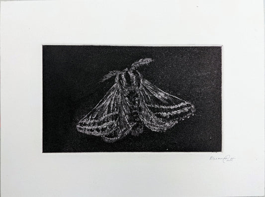 Shadow - Limited Edition Etching
