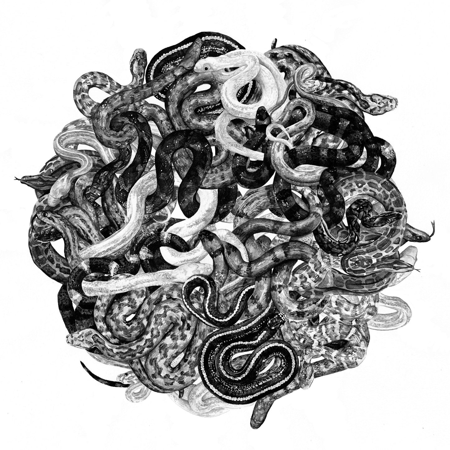 Renewal - Original Acrylic Ink Painting