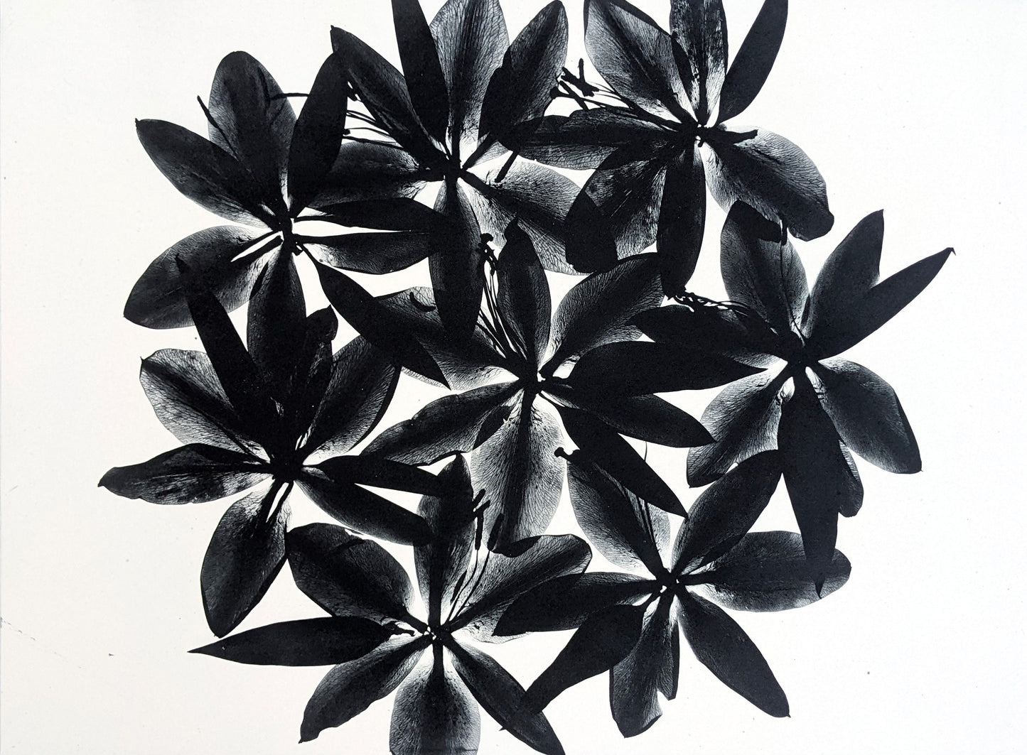 Refraction - Limited Edition Photopolymer Etching