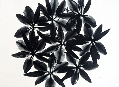 Refraction - Limited Edition Photopolymer Etching