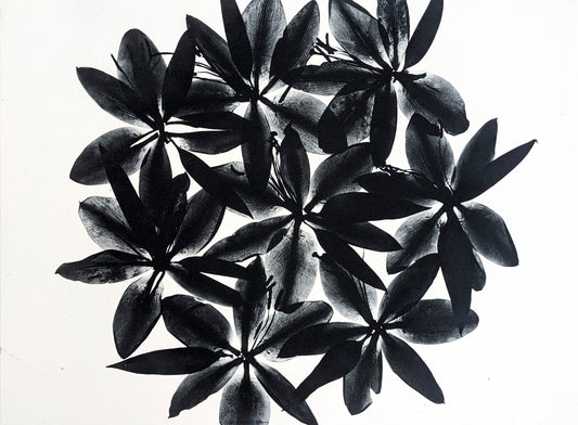 Refraction - Limited Edition Photopolymer Etching