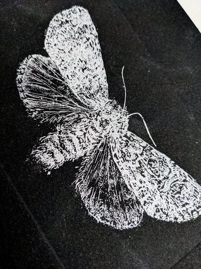 Illumination - Limited Edition Etching