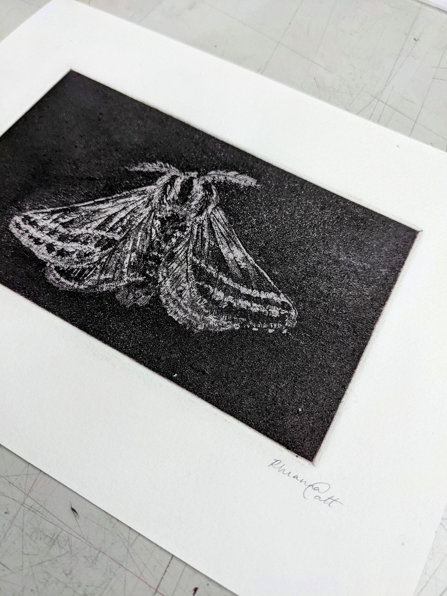Shadow - Limited Edition Etching