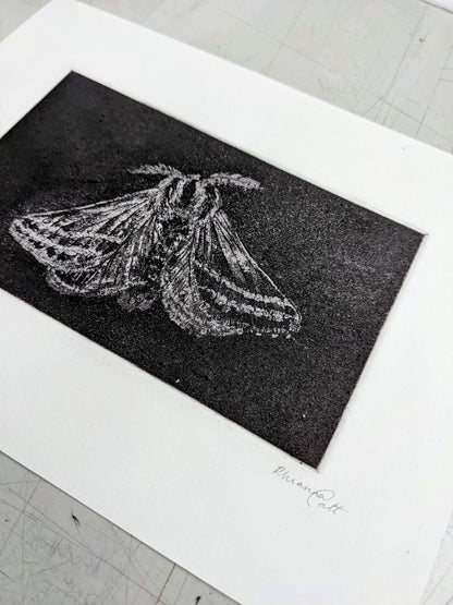 Shadow - Limited Edition Etching