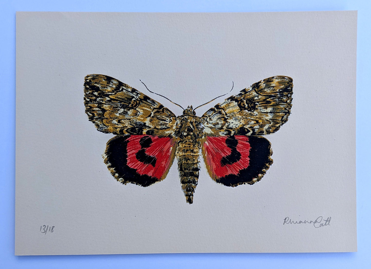 Red Underwing - Limited Edition Screenprint