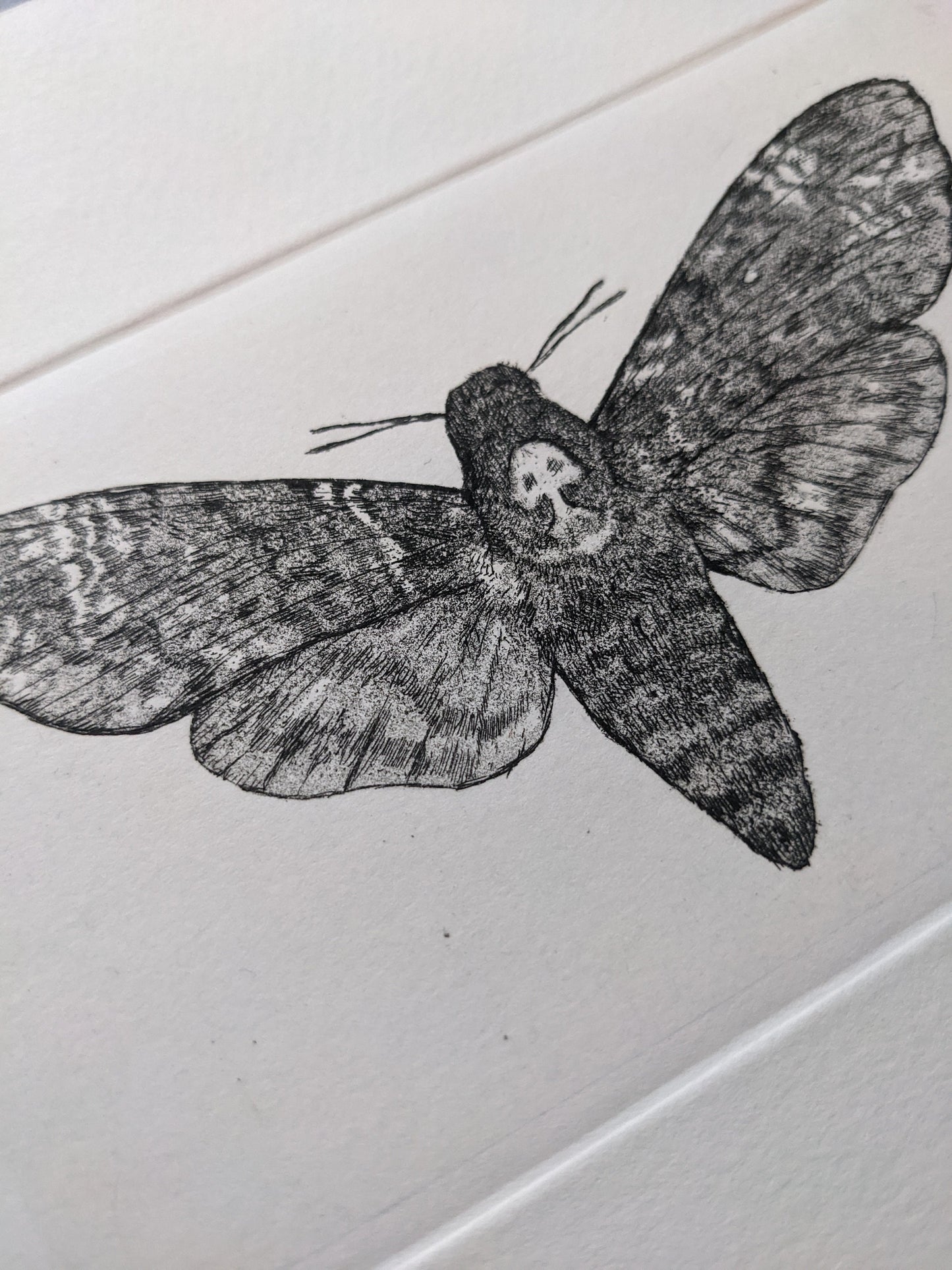 Omen - Limited Edition Etching