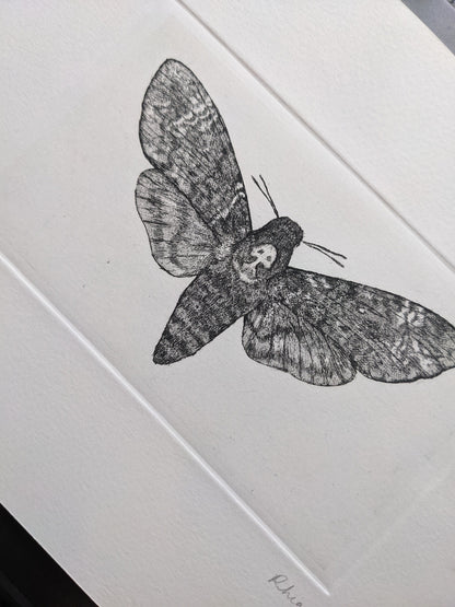 Omen - Limited Edition Etching