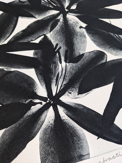 Refraction - Limited Edition Photopolymer Etching