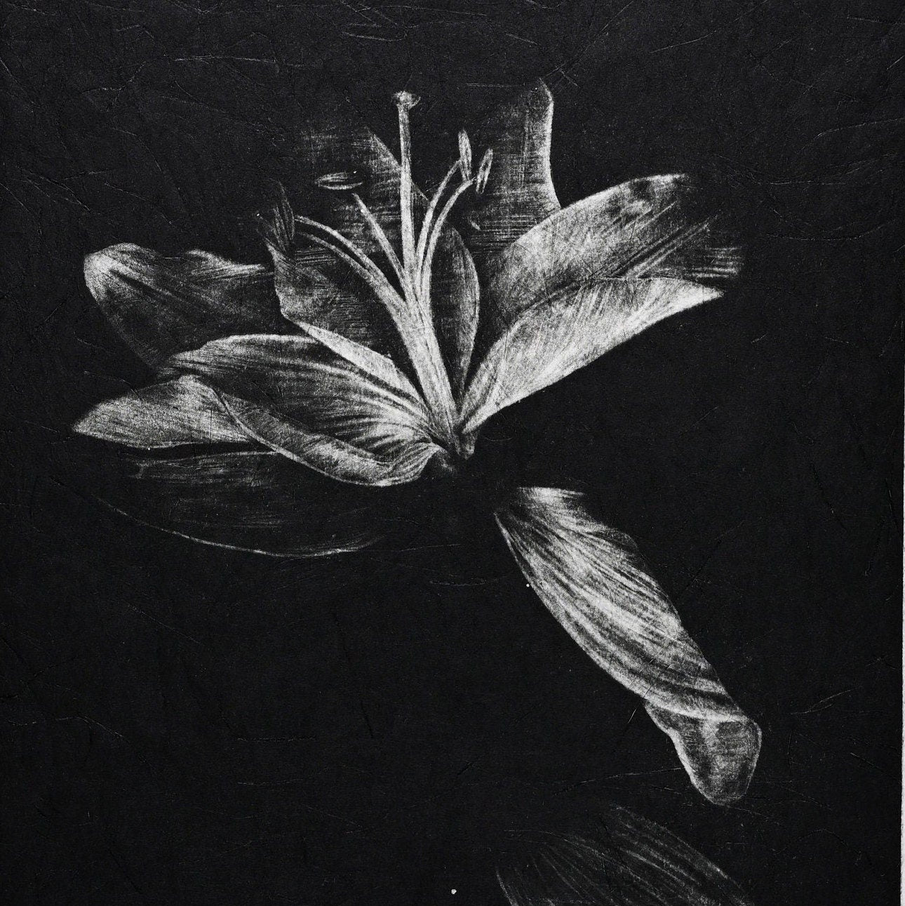 Fracturing – Limited Edition Mezzotint