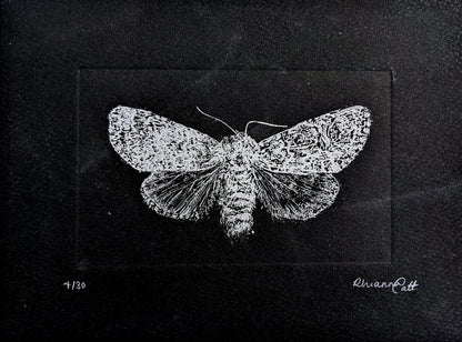 Illumination - Limited Edition Etching
