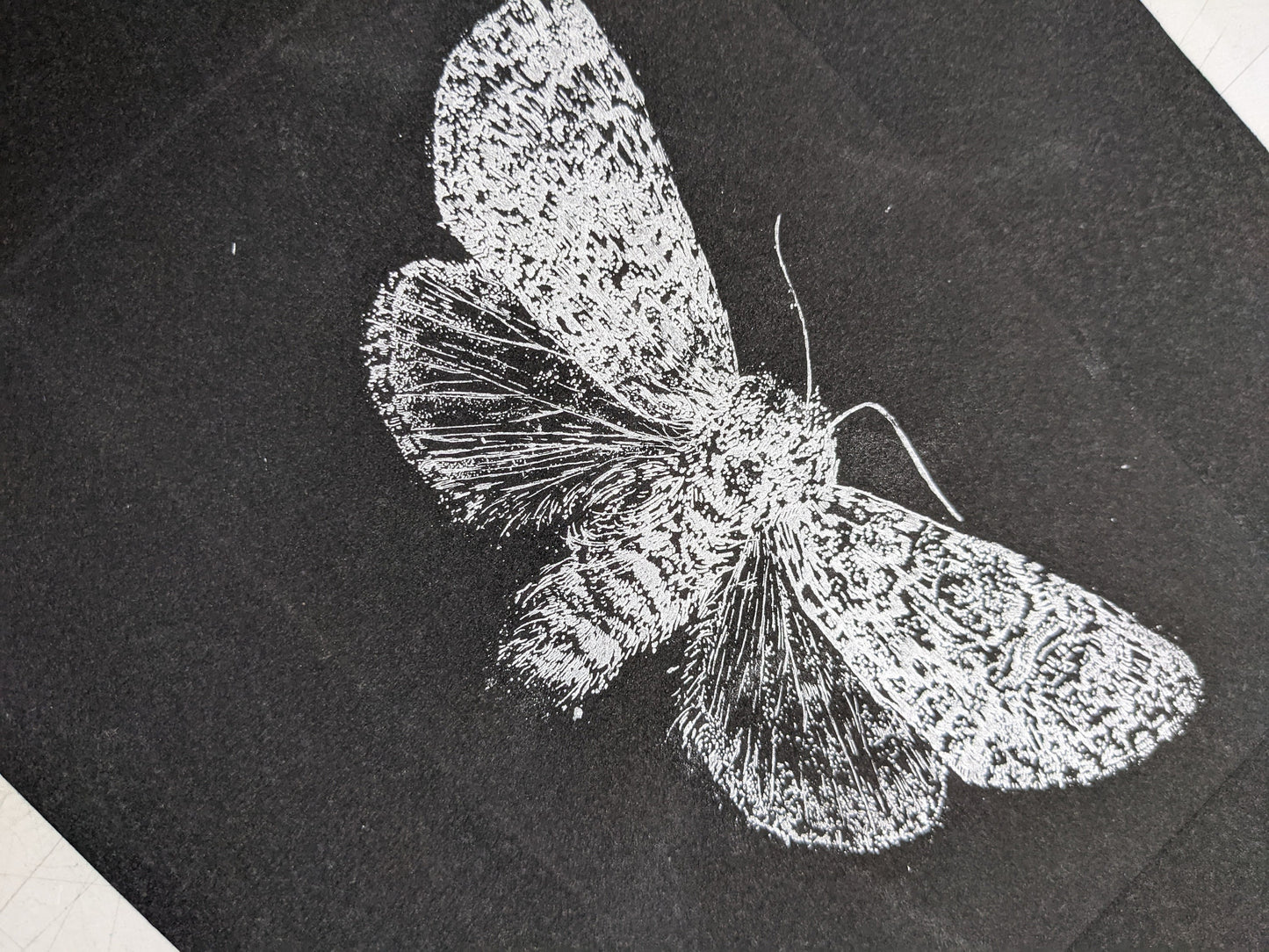 Illumination - Limited Edition Etching