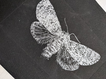 Illumination - Limited Edition Etching