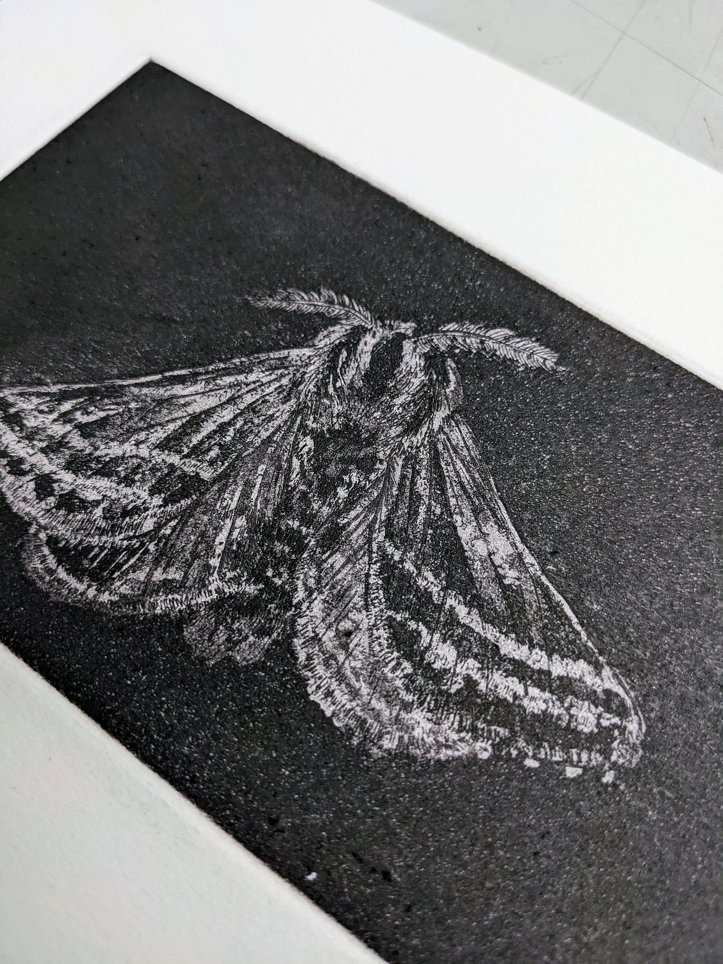 Shadow - Limited Edition Etching