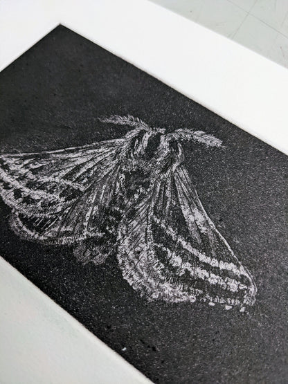 Shadow - Limited Edition Etching