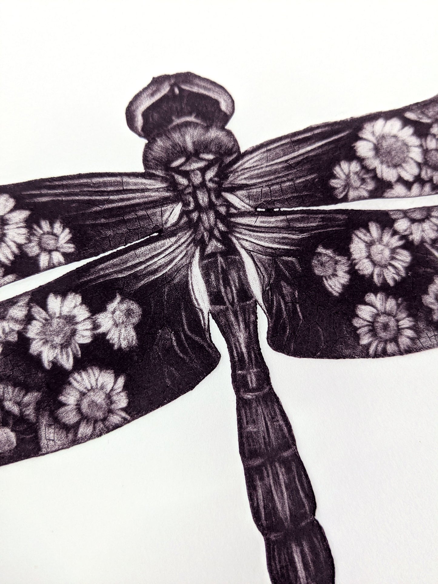 Living Veil - Original Mezzotint, Engraving and Debossing